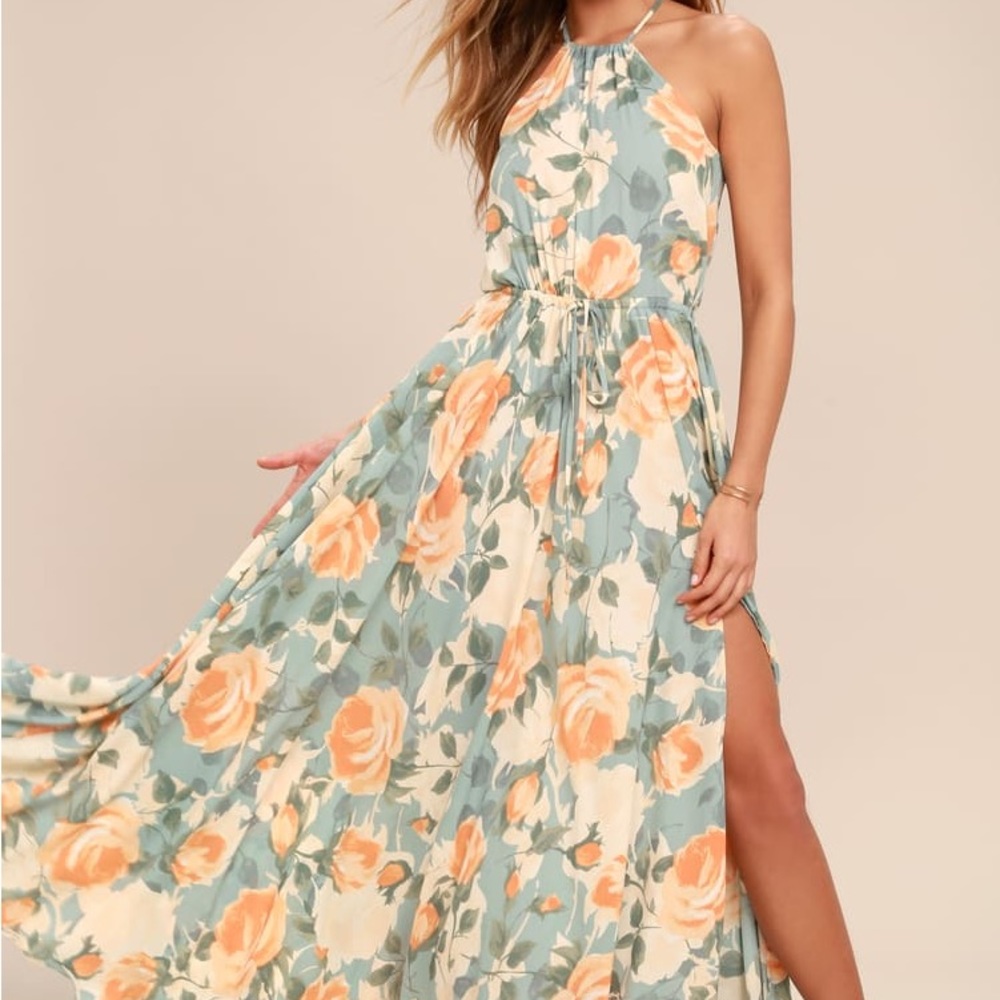 Precious Memories Light Blue and Peach Floral Print Maxi Dress